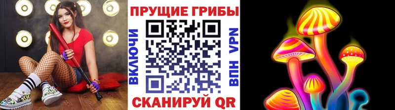Купить закладки  Чебаркуль  Галлюциногенные грибы Psilocybine cubensis 